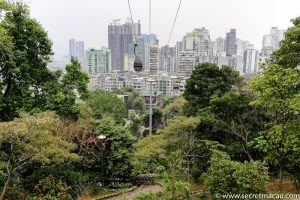 Jardim Da Flora