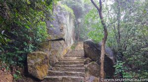 The Coloane Trail